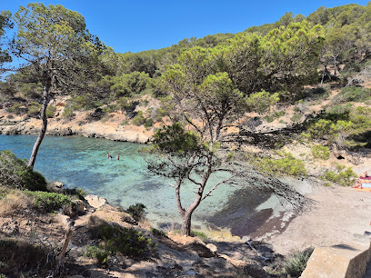 Excursión en barco a cala cap falcó